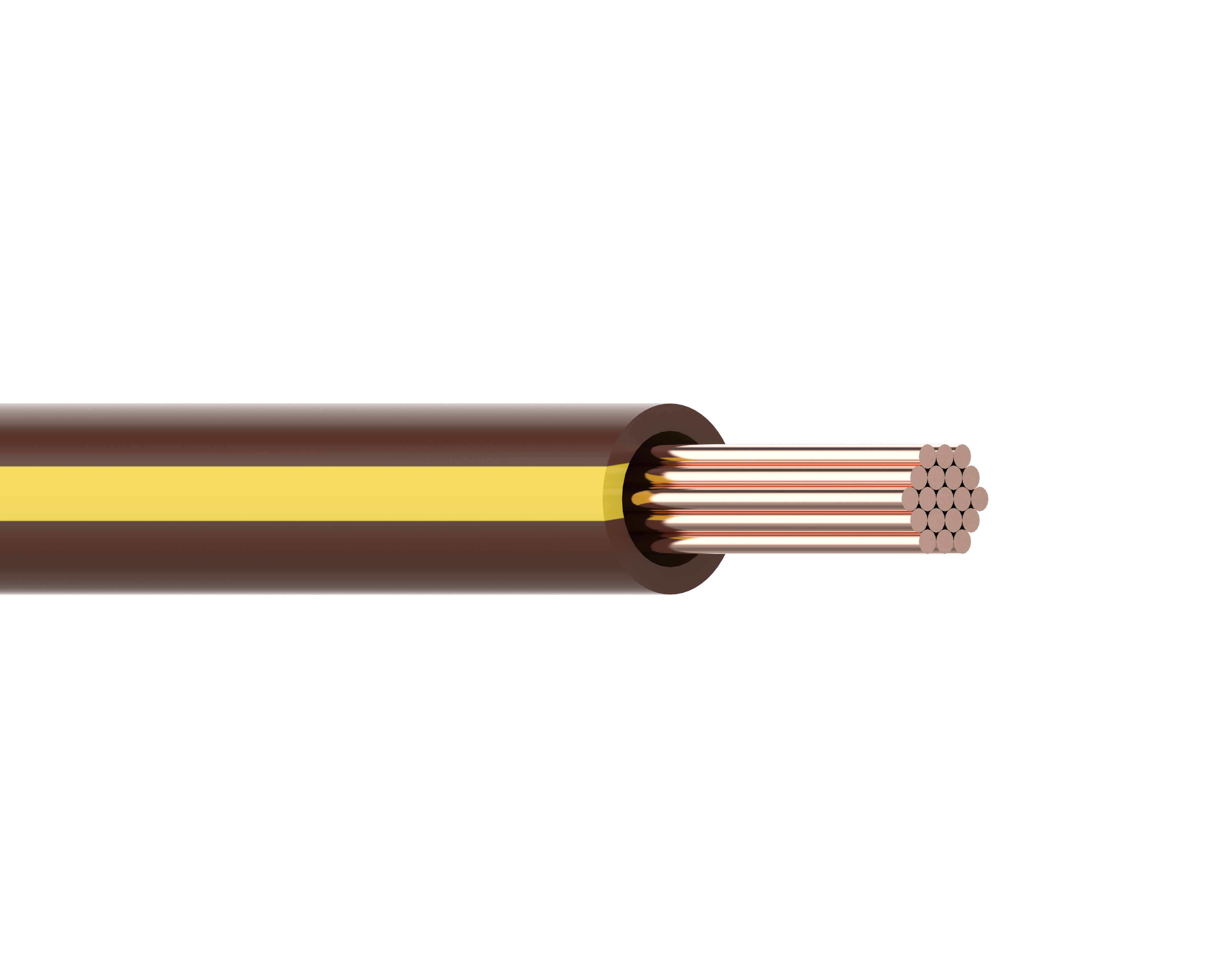 Primary wires V1 棕色+黃色條紋